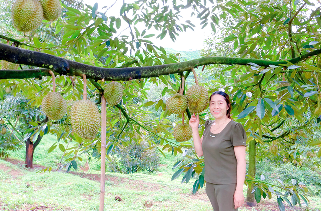 Thắng lớn, hàng loạt nông dân thành tỉ phú - Ảnh 1.