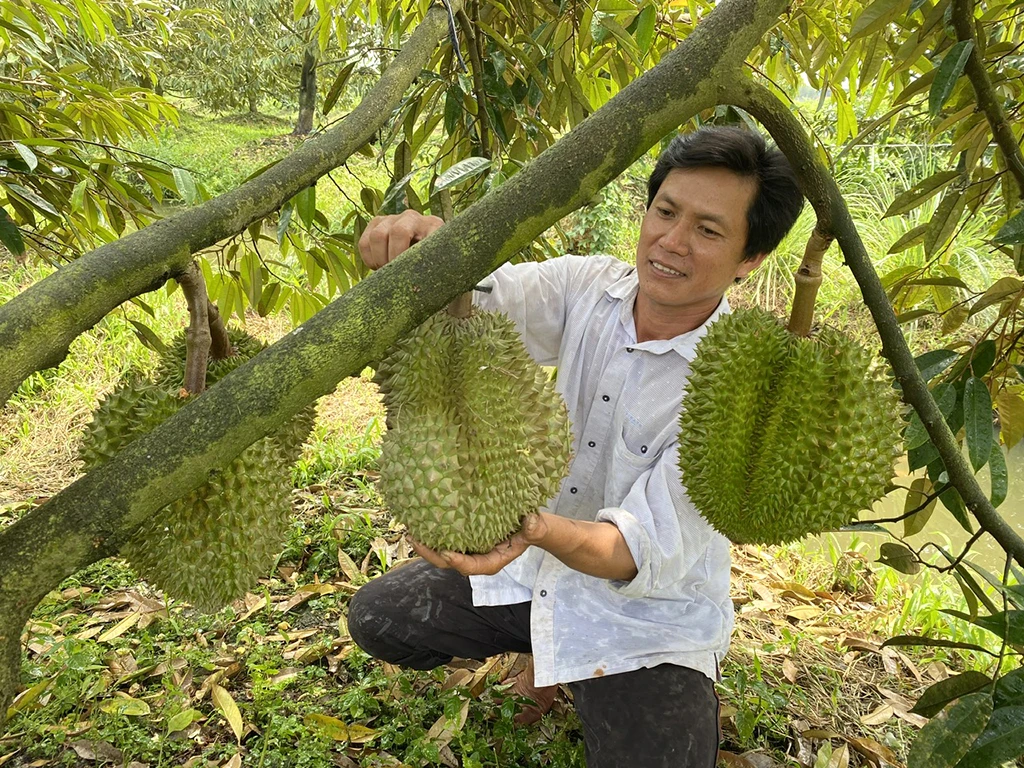 Thắng lớn, hàng loạt nông dân thành tỉ phú - Ảnh 2.