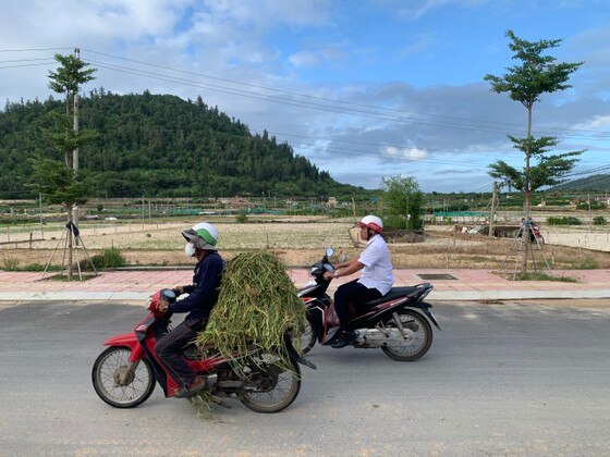 Khu vực triển khai dự án khu dân cư Đồng Rừng, huyện đảo Lý Sơn, tỉnh Quảng Ngãi