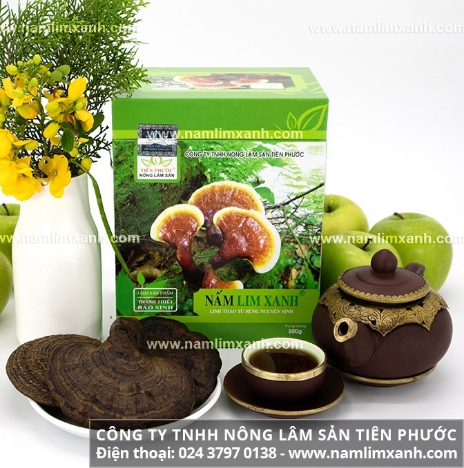 Nấm lim xanh chất lượng cao Thanh Thiết Bảo Sinh chế biến cổ truyền.