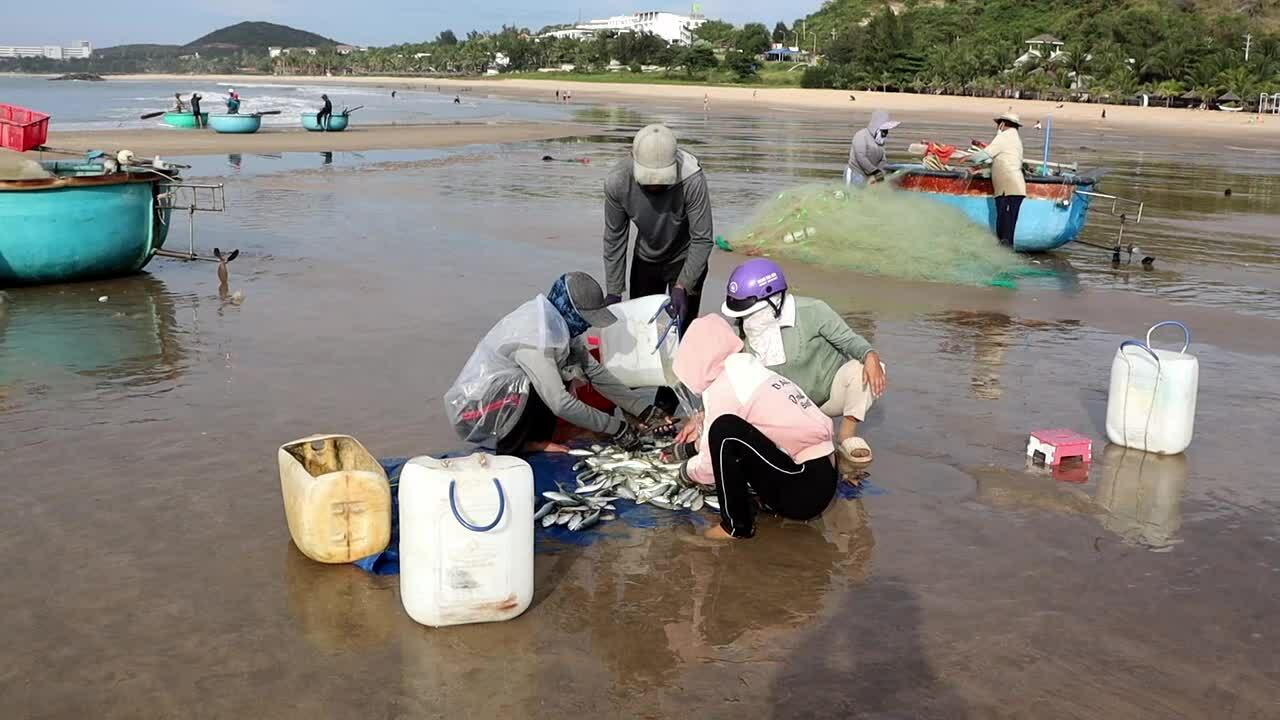 Ngư dân lưới cá mùa gió bấc bán giá cao