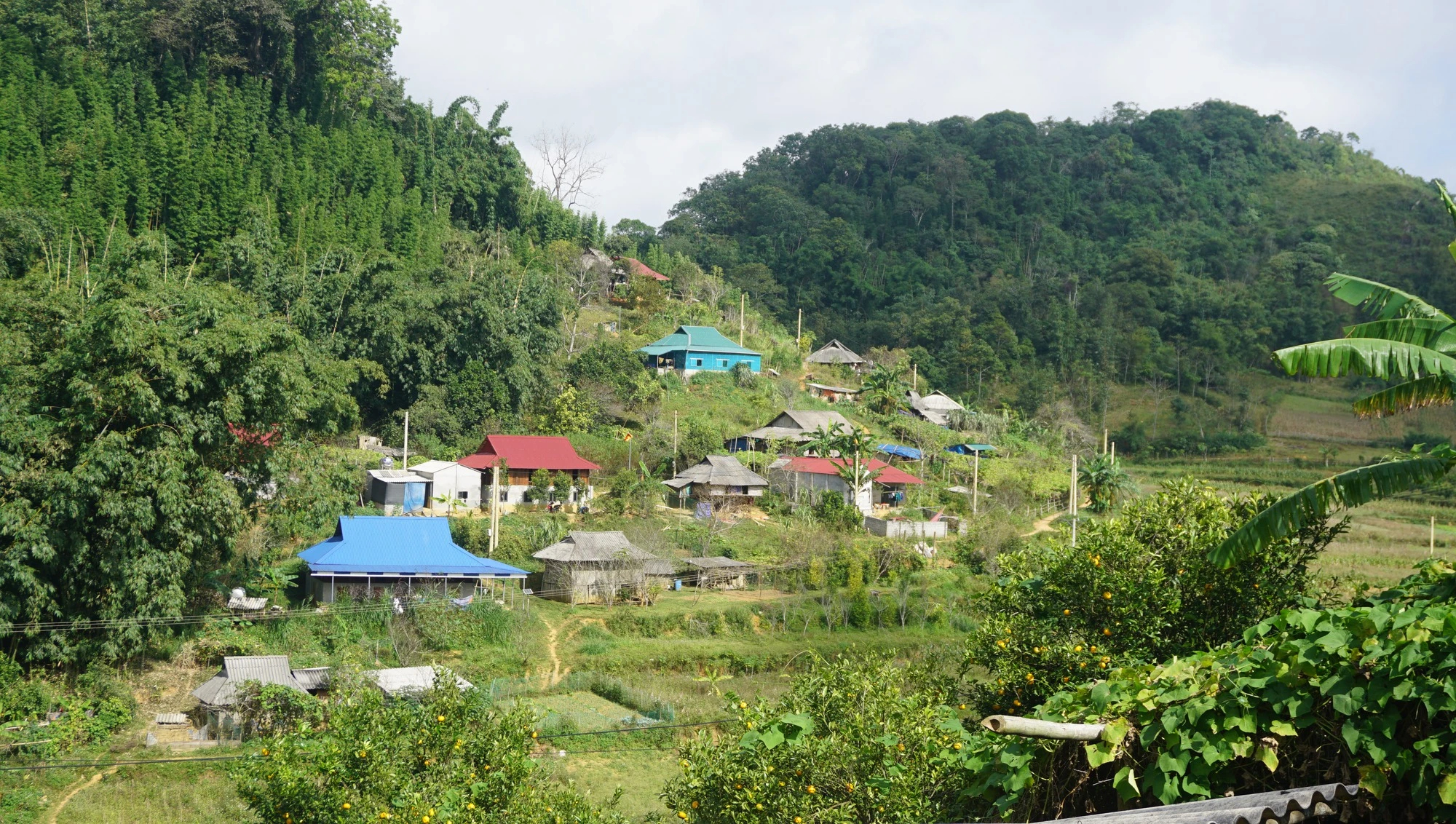 Xây cáp treo chiêm ngưỡng hệ sinh thái cao hơn 1.700 m so với mực nước biển - Ảnh 3.