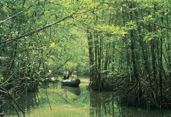 Các du khách đi thuyền tham quan khu Cần Giờ.