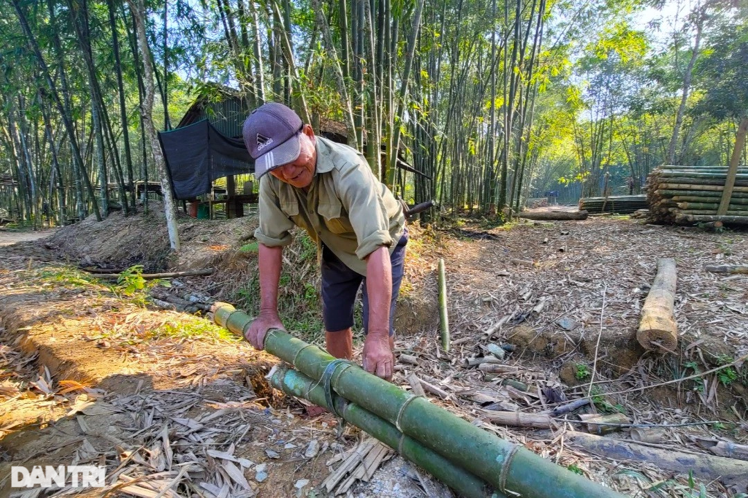 Nuôi con ăn học, xây nhà nhờ cây được mệnh danh là vàng xanh - 4