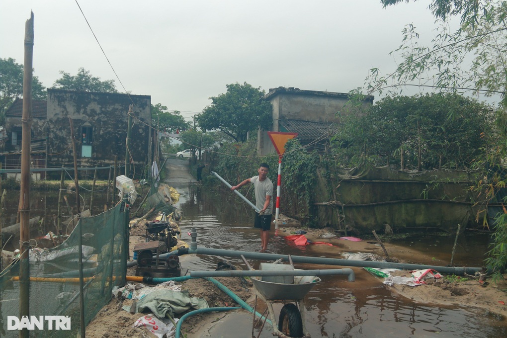 50ha hoa chìm trong biển nước, nông dân lo mất Tết - 5