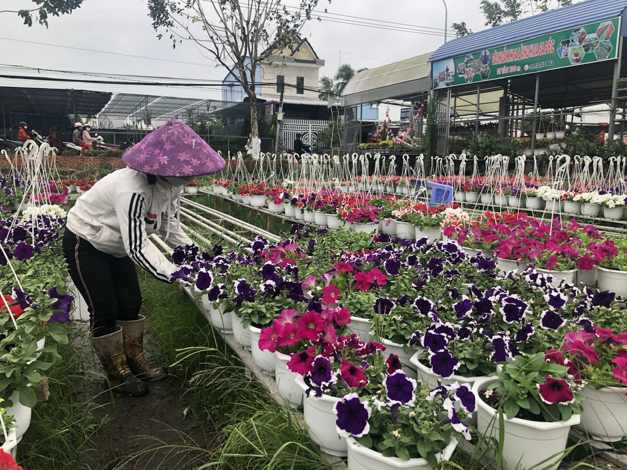 Sa Đéc - Thành phố ngàn hoa phương Nam - Ảnh 5.