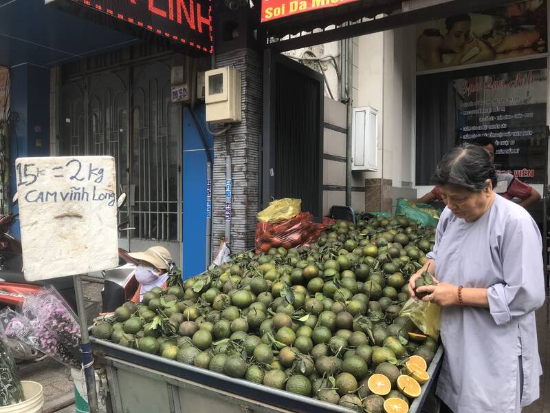 Cam sành được bày bán với mức giá rẻ ở TPHCM. Ảnh: Thu Hoài