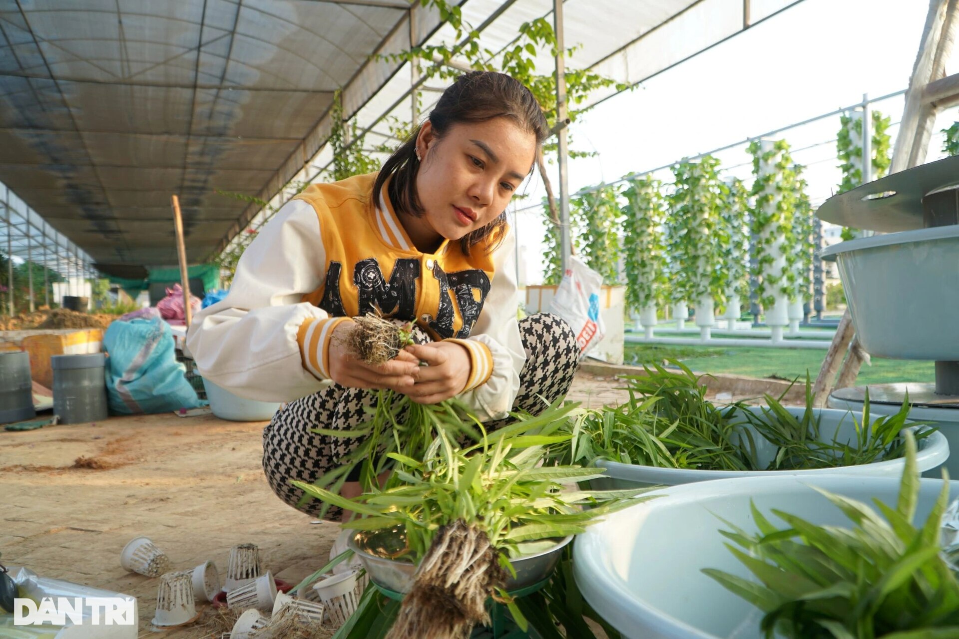 Cách trồng rau độc lạ lần đầu tiên được chàng trai trẻ áp dụng ở địa phương - 10