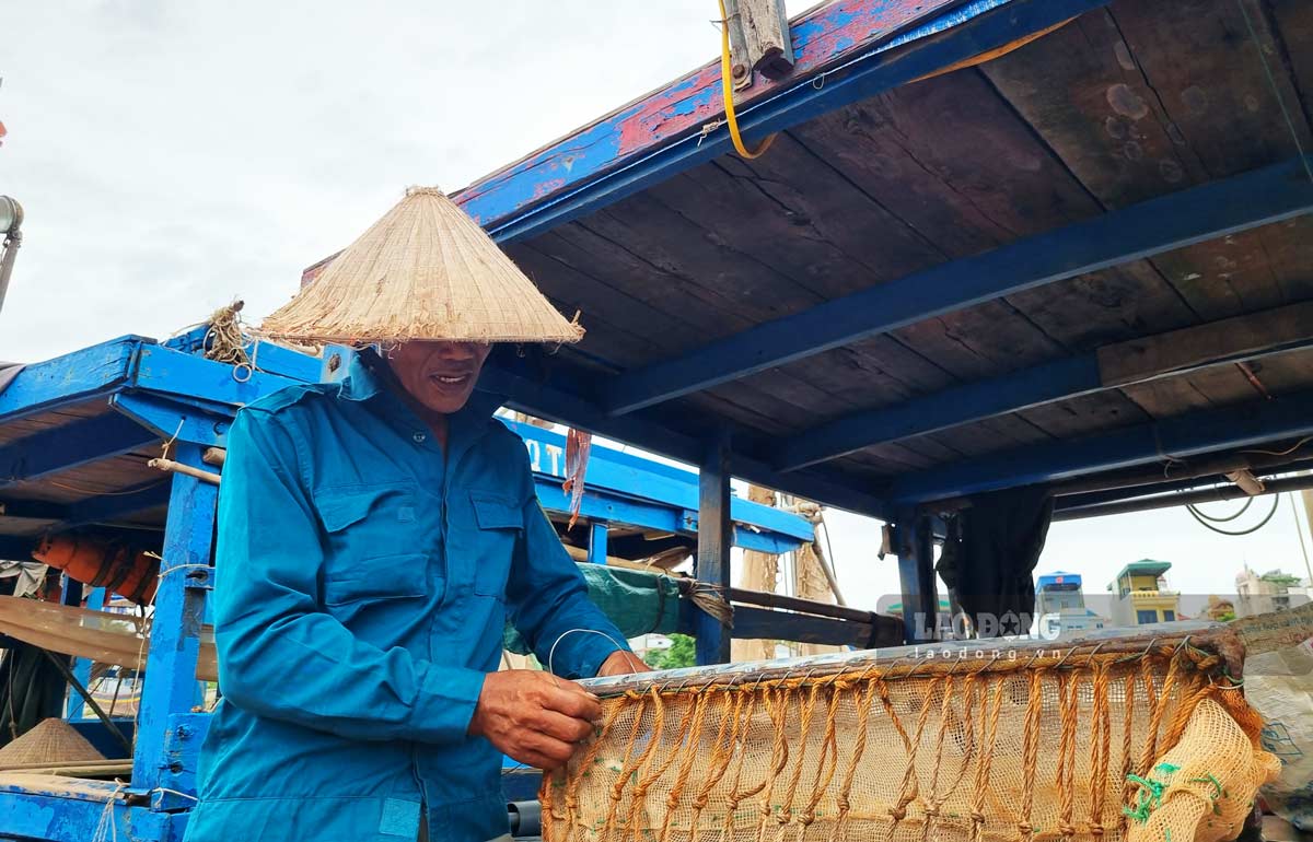 Đầu ra sản lượng ổn định giúp ngư dân yên tâm bám biển. Ảnh: Lương Hà