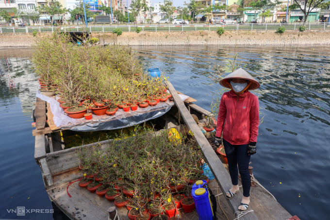 Ghe chở mai kiểng từ Bến Tre lên bến Bình Đông, quận 8, bán dịp Tết, tháng 1/2023. Ảnh: Quỳnh Trần