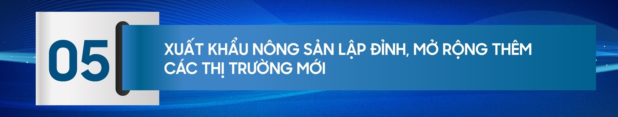 10 dấu ấn nổi bật trong phát triển kinh tế - xã hội năm 2023 - 9