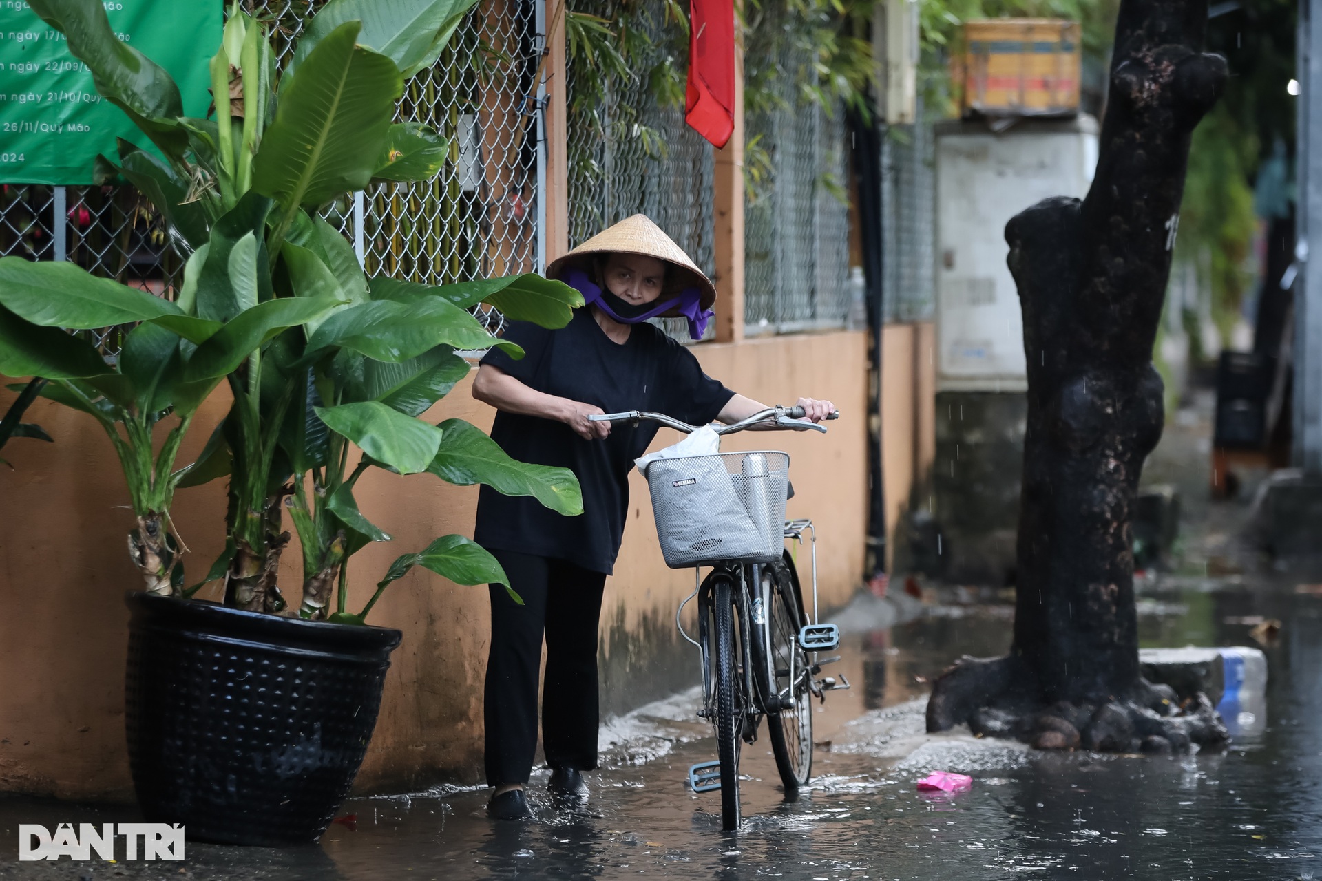 Người dân, du khách bì bõm lội nước sau cơn mưa lớn ở TPHCM - 3