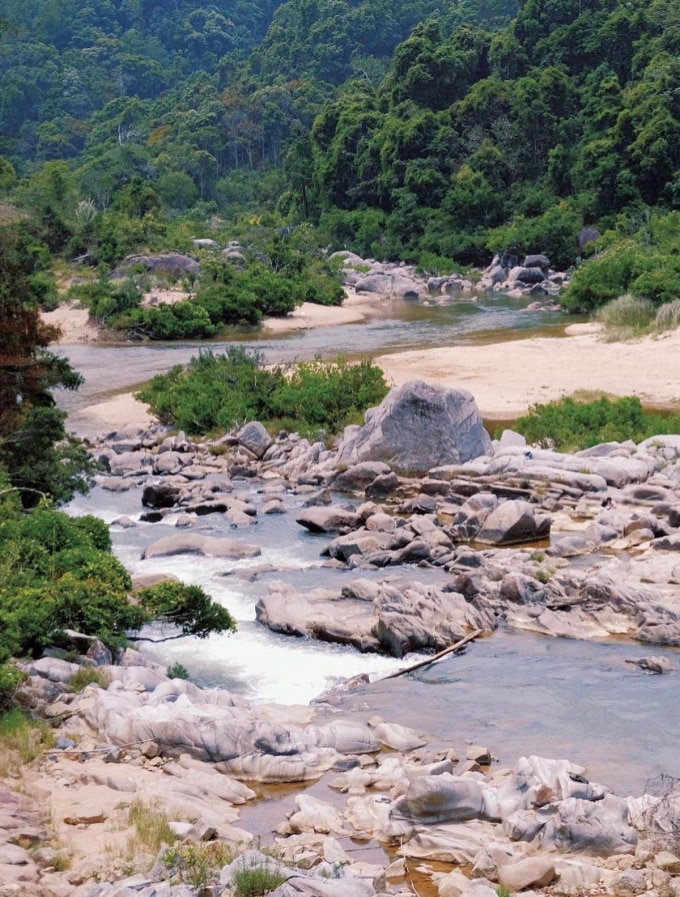 Cầu treo sống ảo cho du khách đến Tây Nguyên - 1