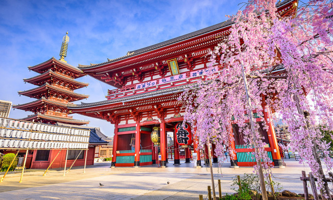 Đền Asakusa ở Tokyo. Ảnh: Tokyo Travel Guide