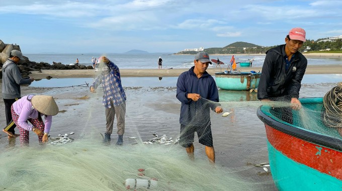 Anh Lê Văn Từ (đội nón vải đỏ) cùng người thân đang gỡ lưới, sáng 29/11. Ảnh: Tư Huynh