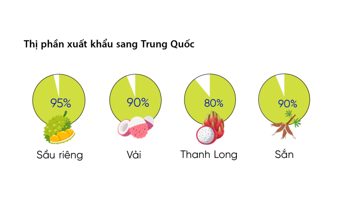 Một số nông sản chiếm tỷ trọng cao trong rổ hàng xuất sang Trung Quốc. Đồ hoạ: Đỗ Nam