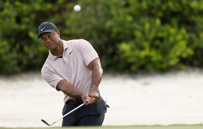 Tiger Woods chip bóng ở hố 15 vòng đầu Hero World Challenge trên sân Albany Golf Course ngày 30/11. Ảnh: AFP