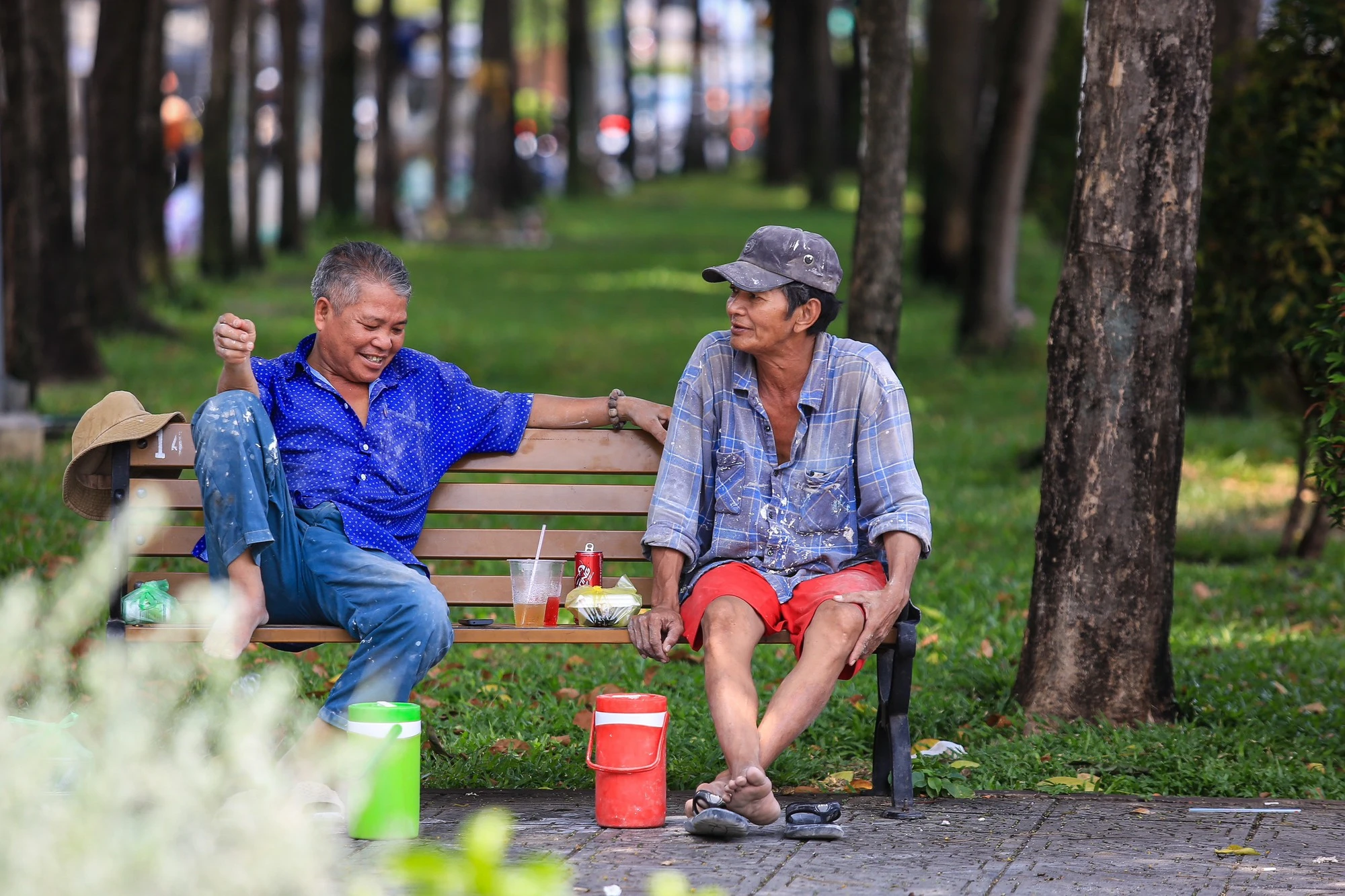 'Di dời, đốn hạ cây xanh nào cũng đều đáng tiếc, nhưng bất khả kháng' - Ảnh 2.