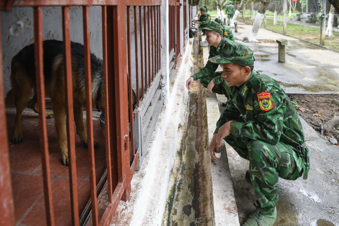 Chế độ dinh dưỡng, sức khỏe của chó nghiệp vụ được các huấn luyện viên và chuyên gia của trường giám sát kĩ càng. Ảnh: Giang Huy