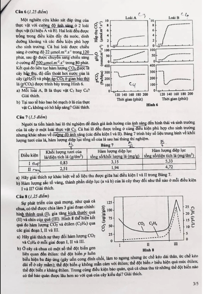 Đề thi học sinh giỏi quốc gia môn Vật lý, Hóa học, Sinh học, Lịch sử - 10