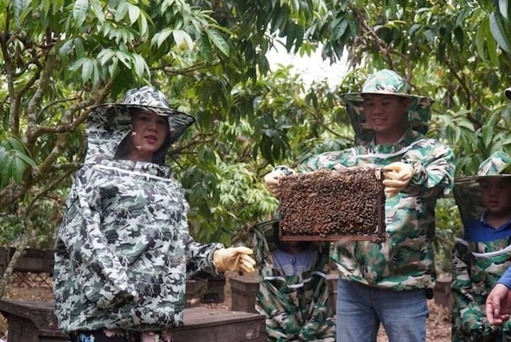 Trải nghiệm thu hoạch mật ong nuôi trong vườn vải...