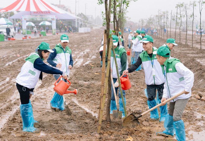 Cán bộ, nhân viên háo hức trồng cây trong ngày sự kiện