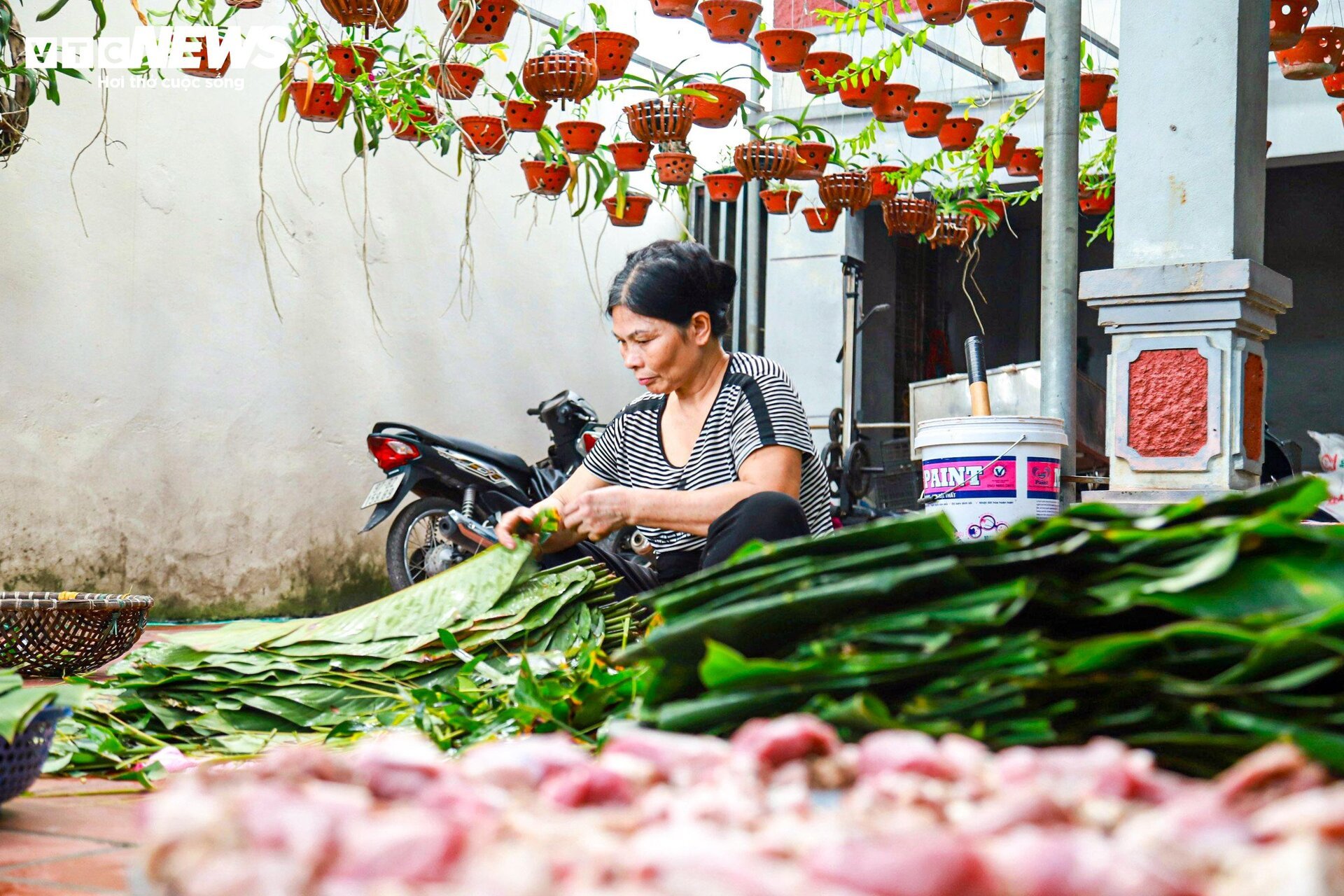 Thăm ngôi làng mỗi ngày gói nghìn chiếc bánh chưng giữa Thủ đô - 3