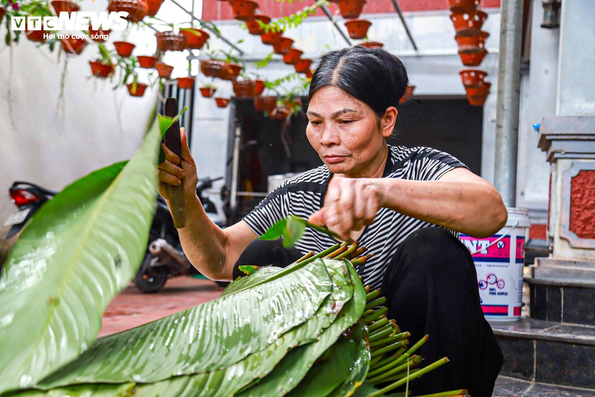 Thăm ngôi làng mỗi ngày gói nghìn chiếc bánh chưng giữa Thủ đô - 5