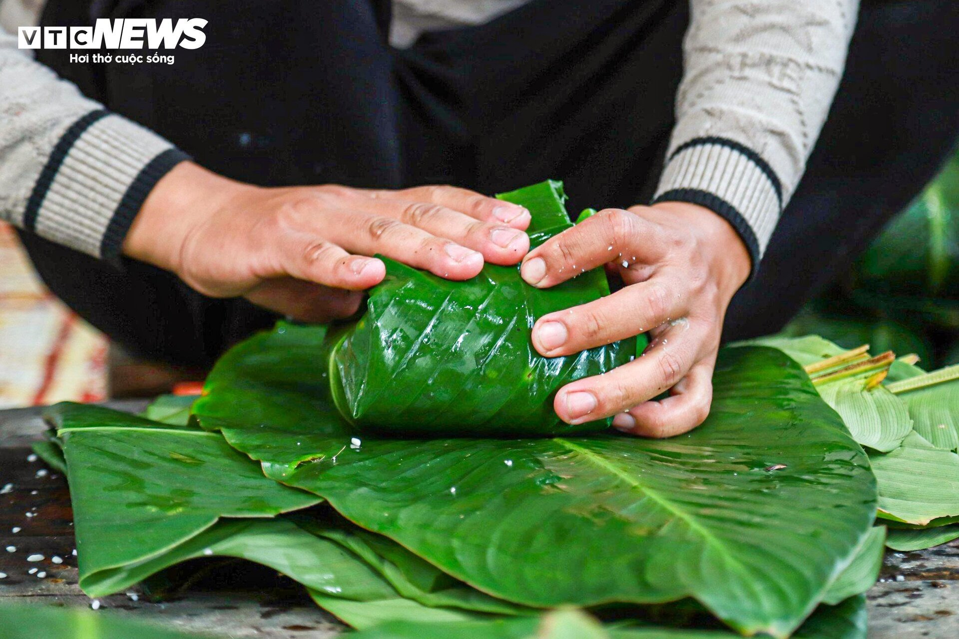 Thăm ngôi làng mỗi ngày gói nghìn chiếc bánh chưng giữa Thủ đô - 11