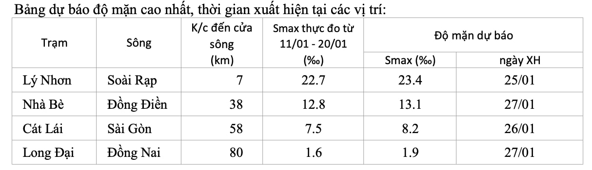 Xâm nhập mặn 'tấn công' khu vực cửa sông TP.HCM- Ảnh 2.