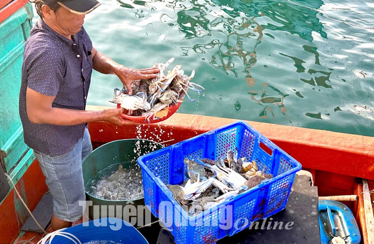 ‘Vịnh Hạ Long thu nhỏ’ trên vùng biển Tây Nam Tổ quốc