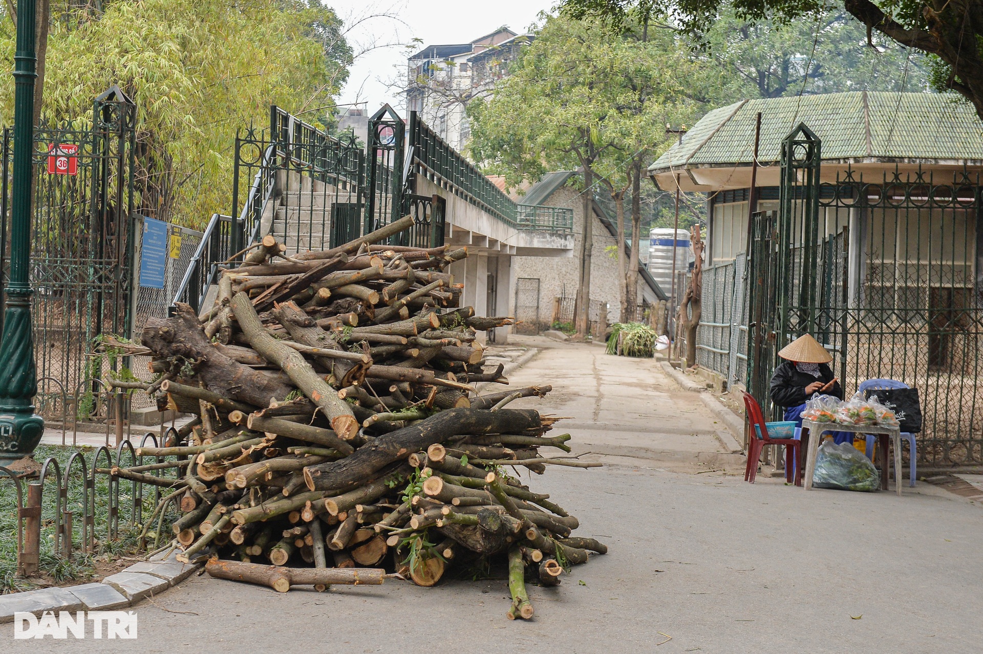 Đốt lửa, bật nước nóng để sưởi ấm cho động vật ở vườn thú Hà Nội - 5