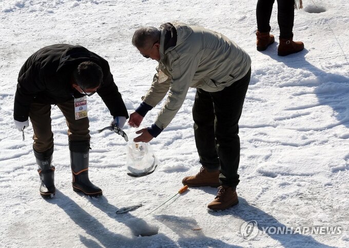 Du khách địa phương câu cá trên sông băng hôm 18/1. Ảnh: Yonhap News