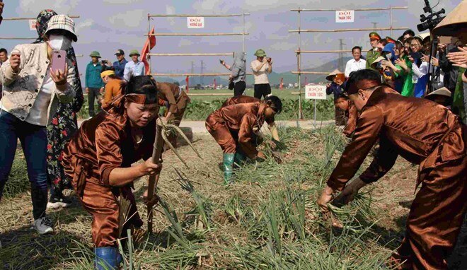 Nông dân hào hứng tham gia lễ hội hành tỏi lần đầu tổ chức ở Hải Dương