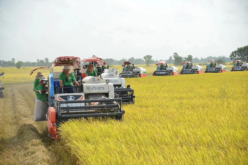 Nông nghiệp lập hàng loạt kỷ lục- Ảnh 1.