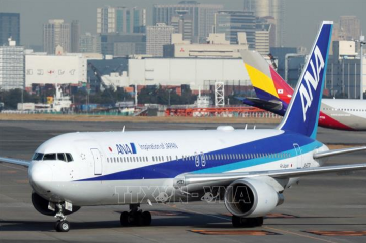 Máy bay của Hãng hàng không Nhật Bản All Nippon Airways tại sân bay Haneda ở Tokyo. (Ảnh: AFP/TTXVN)