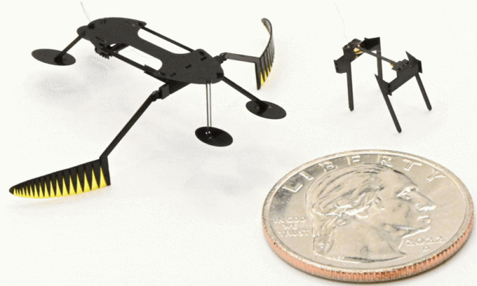 Robot WaterStrider và MiniBug bên cạnh một đồng xu. Ảnh: Bob Hubner/WSU