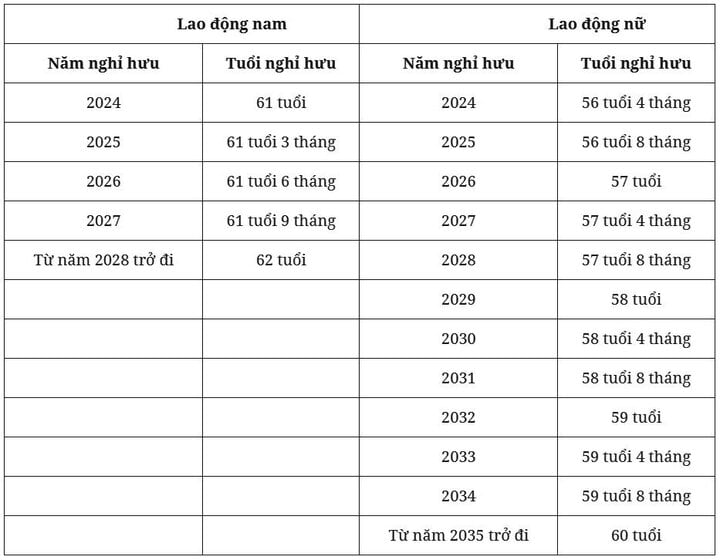 Tuổi nghỉ hưu của người lao động năm 2024 - 1