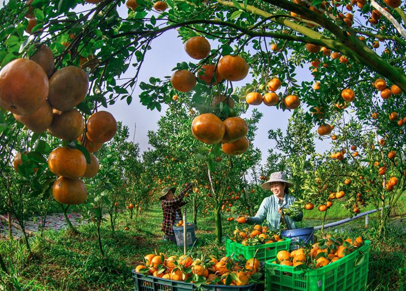 Sự kiện - “Bay lên Việt Nam” và loạt ảnh ấn tượng tại “Việt Nam hạnh phúc 2023' (Hình 3).