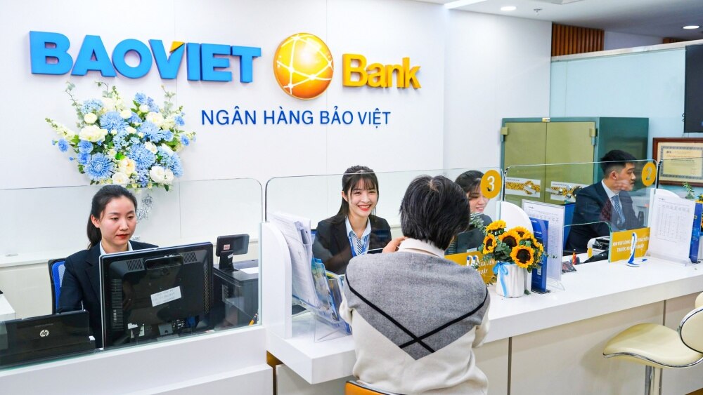 [Infographic] BAOVIET Bank - 15 năm hành trình phát triển