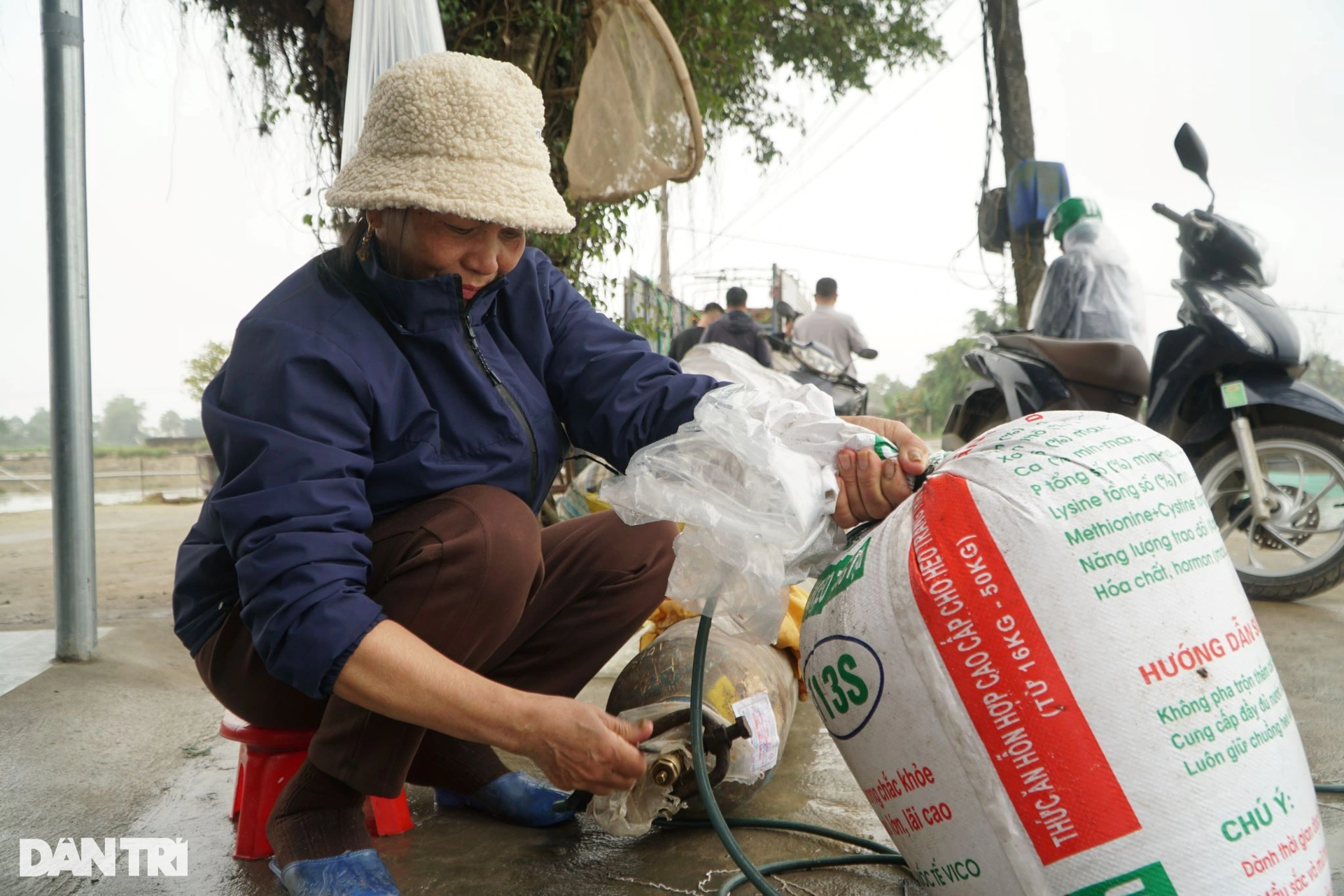 Vét hồ gom 3 tấn cá chép, kiếm gọn trăm triệu trước ngày ông Táo về trời - 10