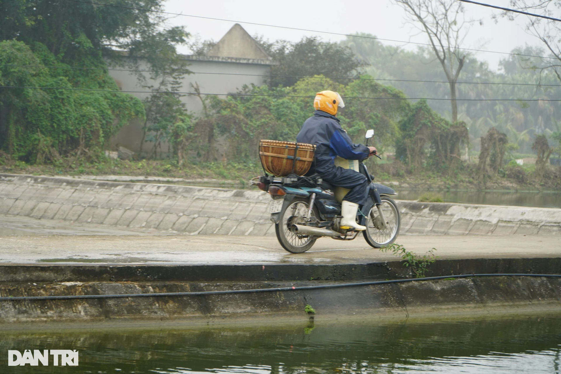 Vét hồ gom 3 tấn cá chép, kiếm gọn trăm triệu trước ngày ông Táo về trời - 11