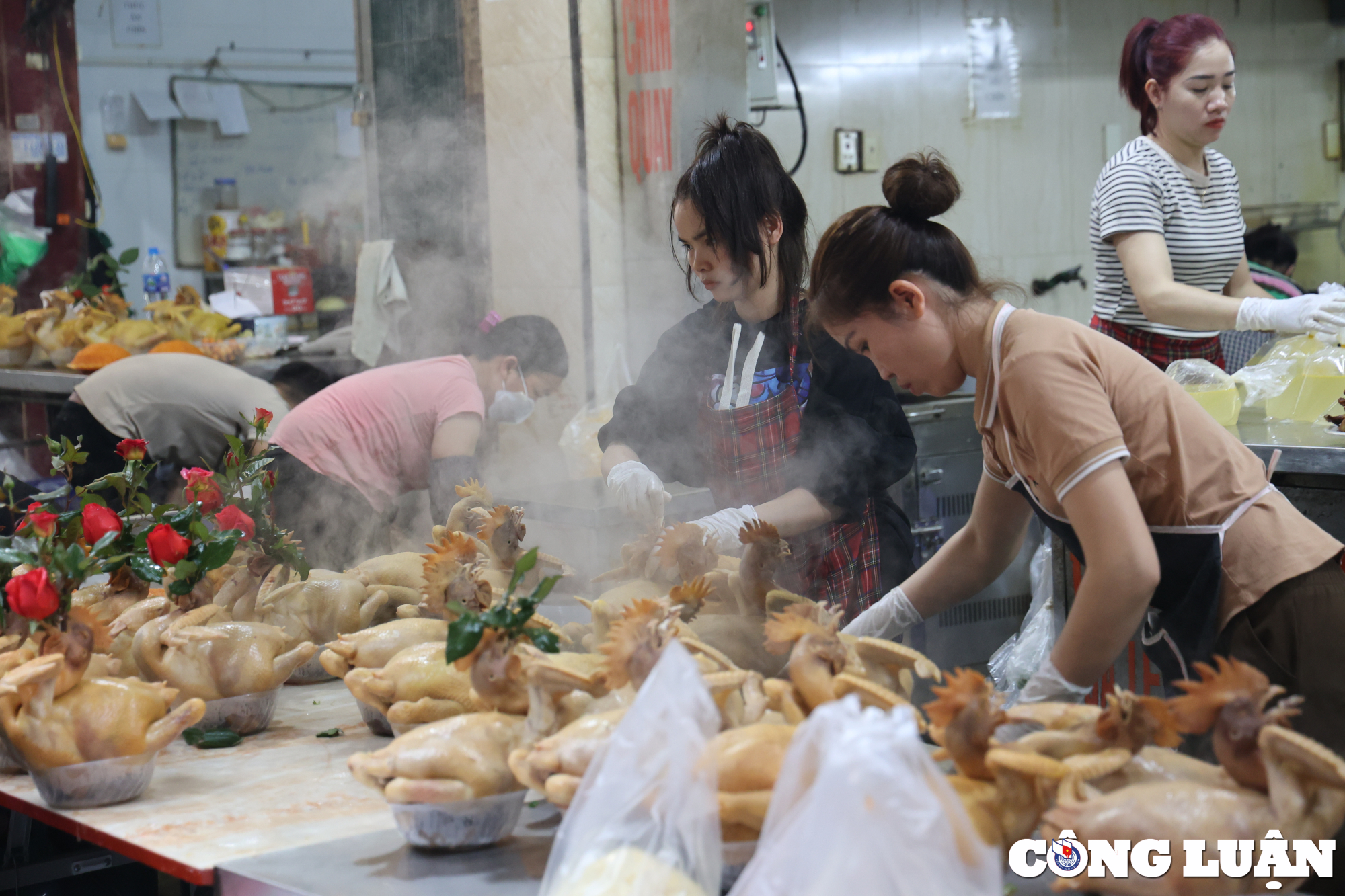 ga ngam hoa hong hut khach tai cho nha giau ha noi hinh 6