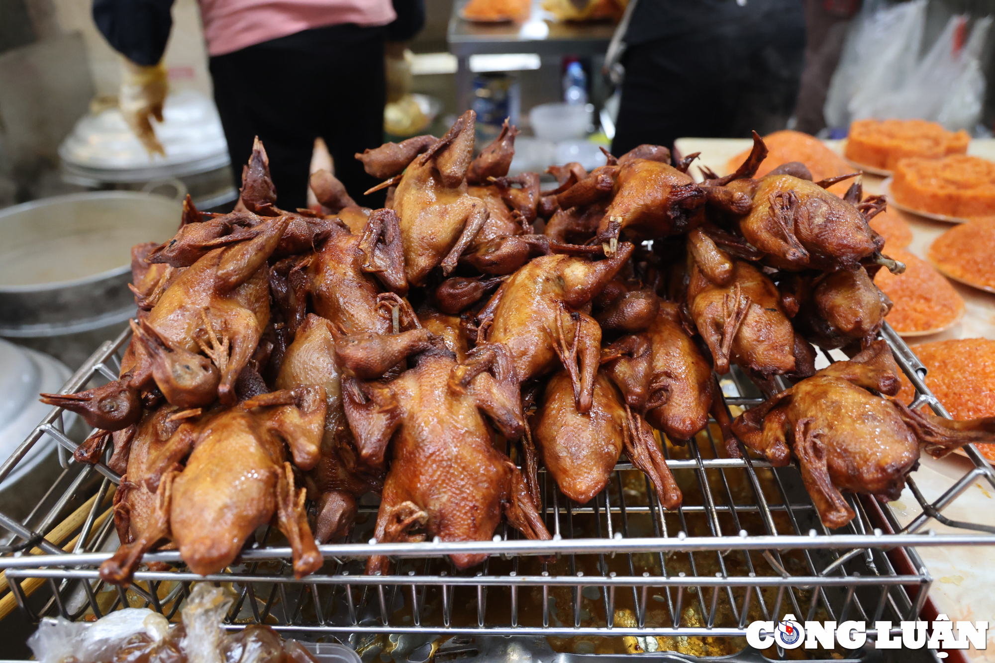 ga ngam hoa hong hut khach tai cho nha giau ha noi hinh 15