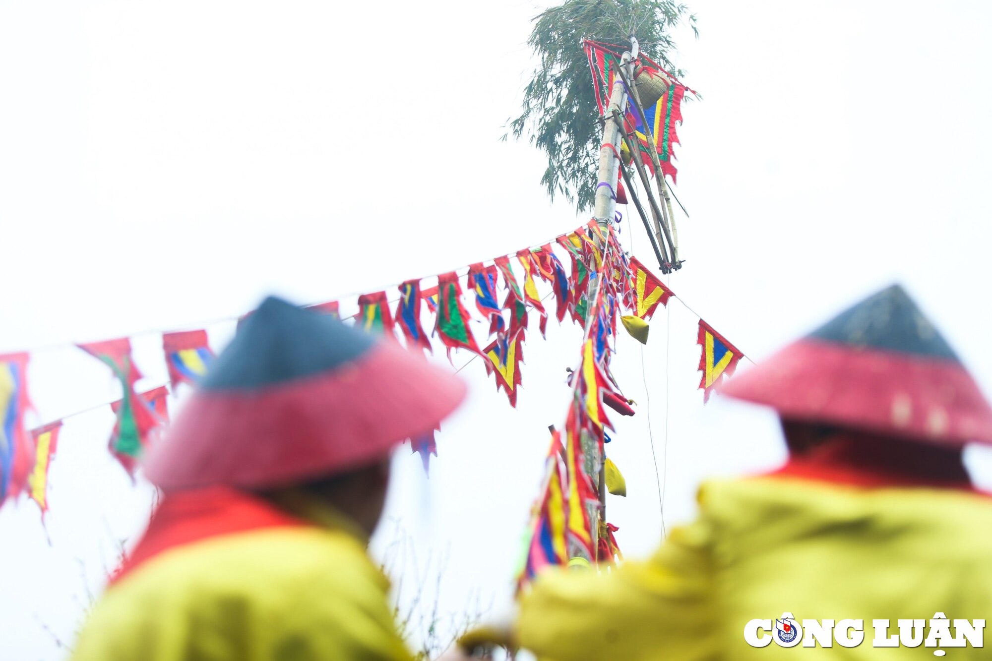 dang huong tha ca chep vang o dong song co tai hoang thanh thang long hinh 11