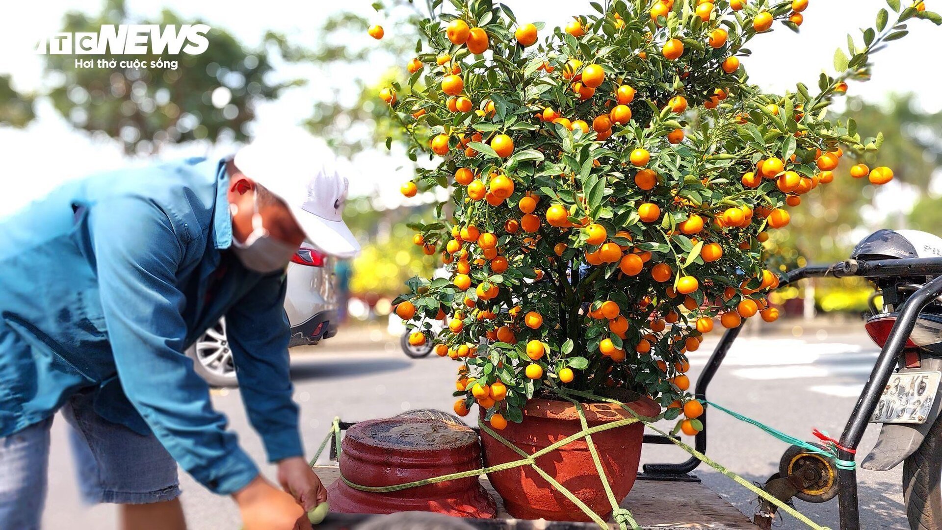 Chở hoa Tết kiếm tiền triệu mỗi ngày, tài xế tranh thủ cày ngày cày đêm - 3