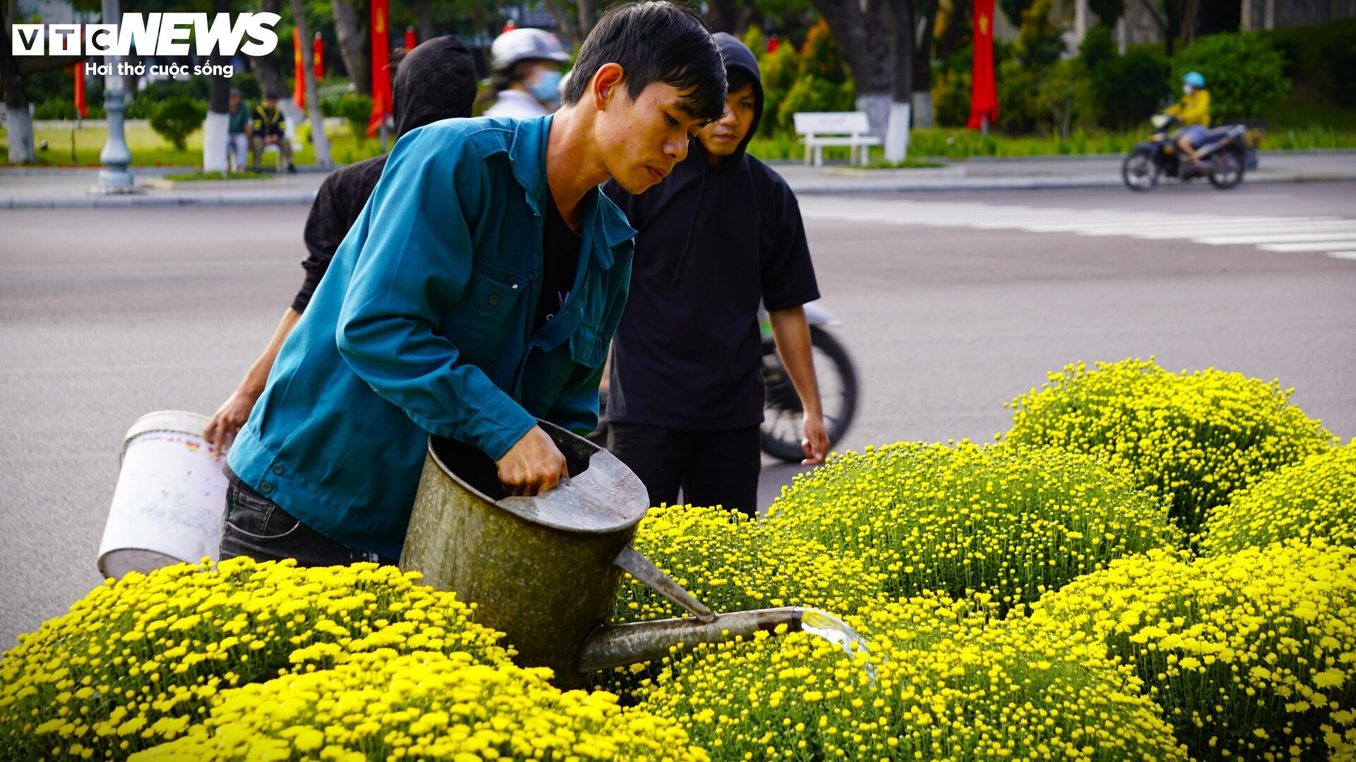 Sắc vui tươi ở chợ hoa xuân lớn nhất Quy Nhơn - 17