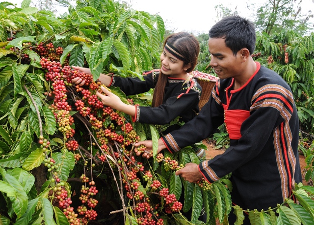 huong sac cao nguyen hinh 3