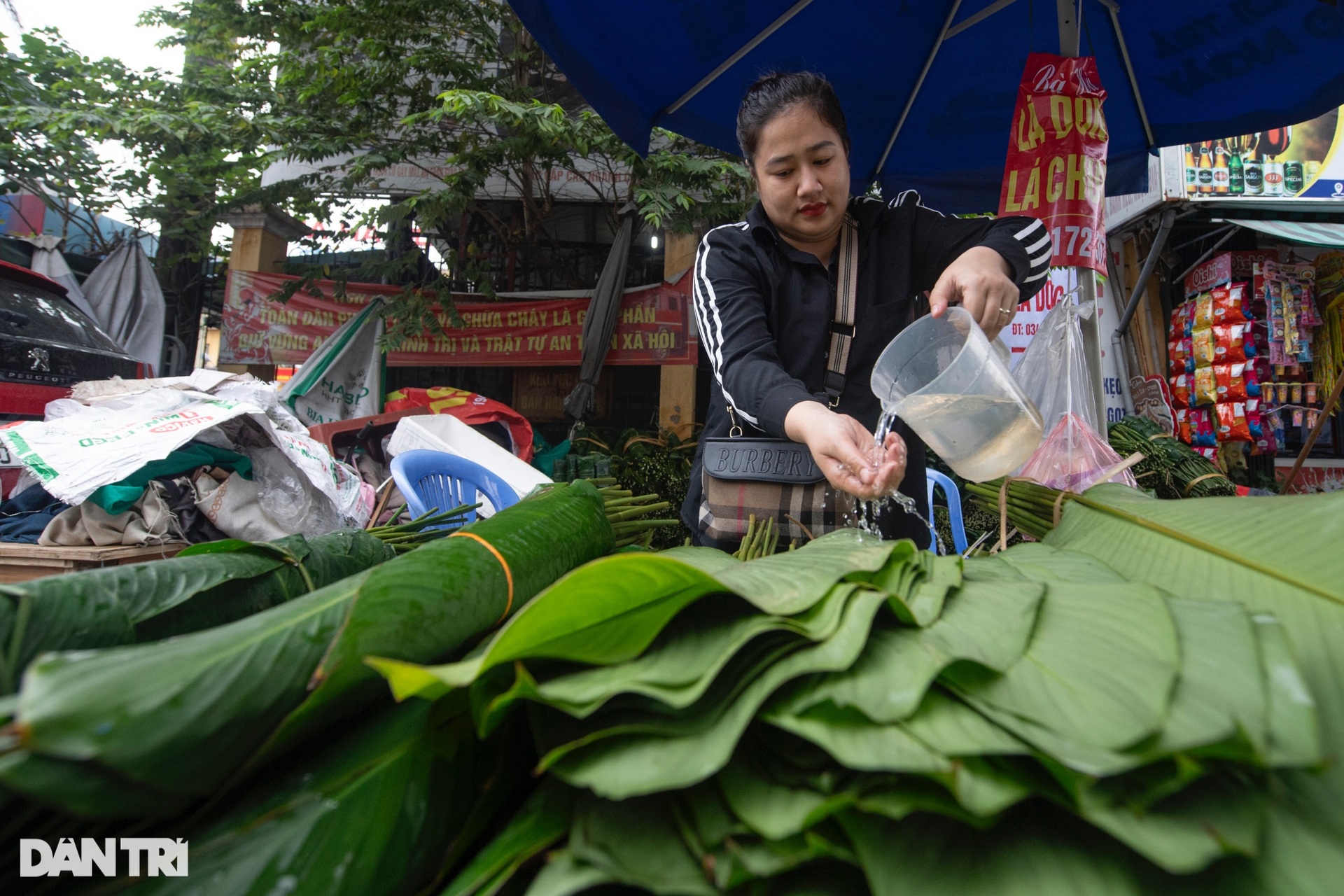 Lá dong đắt gấp 3, người dân vẫn phấn khởi mua gói bánh chưng - 2