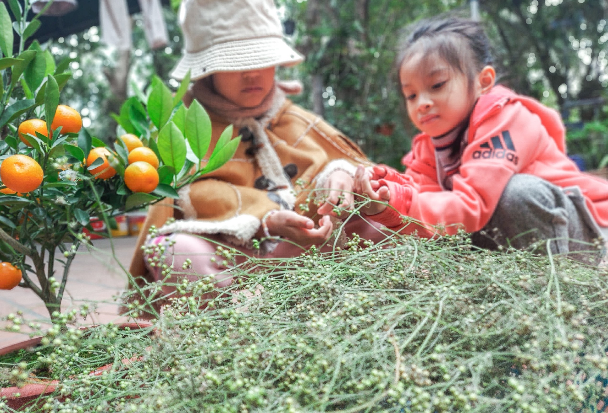 Học từ ngày tết đoàn viên- Ảnh 3.